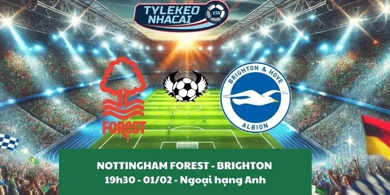 Nhận định nhà cái Nottingham Forest - Brighton & Hove Albion 19:30 - 01/02/2025