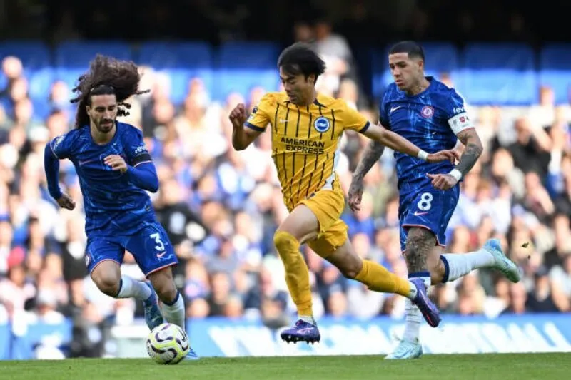 Dự đoán tỷ số Brighton & Hove Albion vs Chelsea